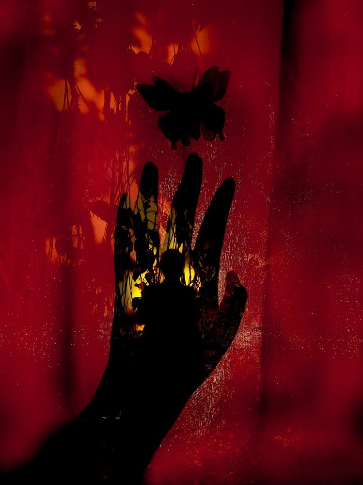 Photo #4514479