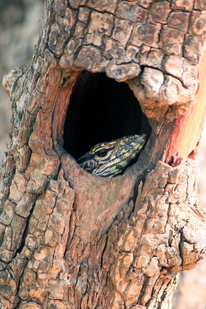 Photograph by Claudia Freitas