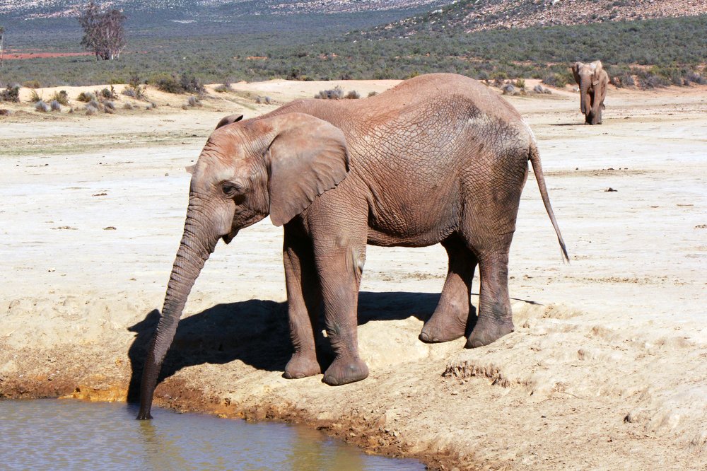 Photograph by Claudia Freitas