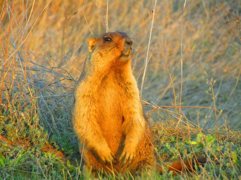 Photograph by Сергей Яценко