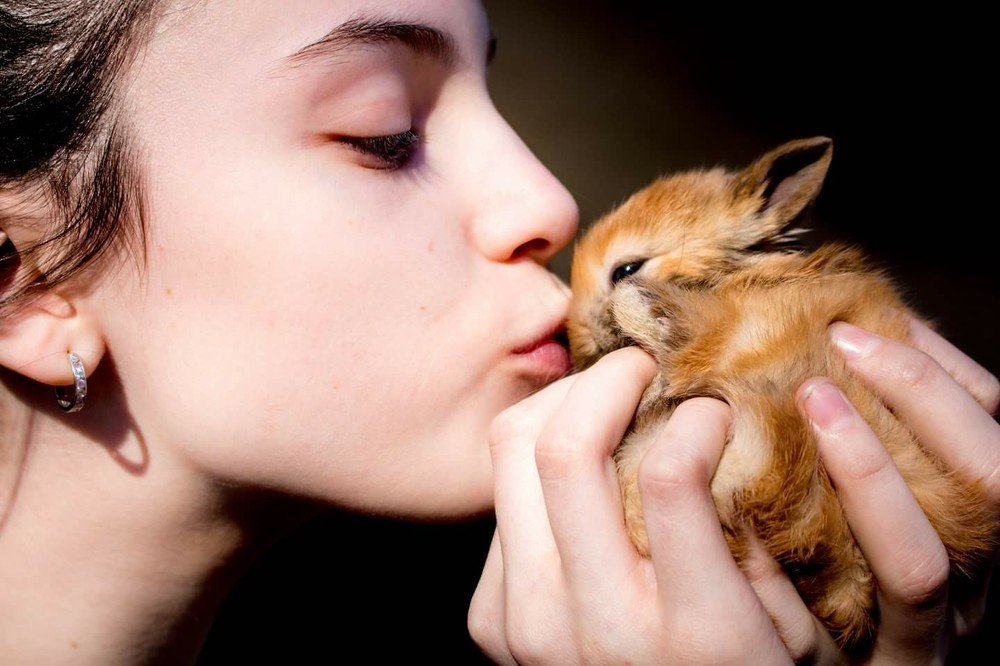 Photograph by M D Amira