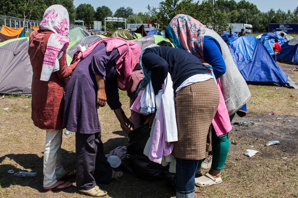 Photograph by M D Amira