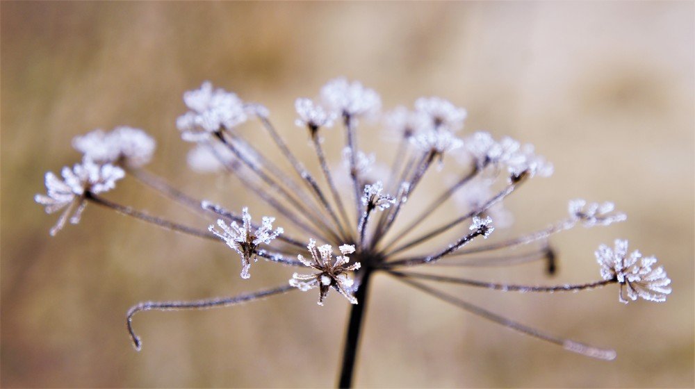 Photograph by Екатерина Апрелева