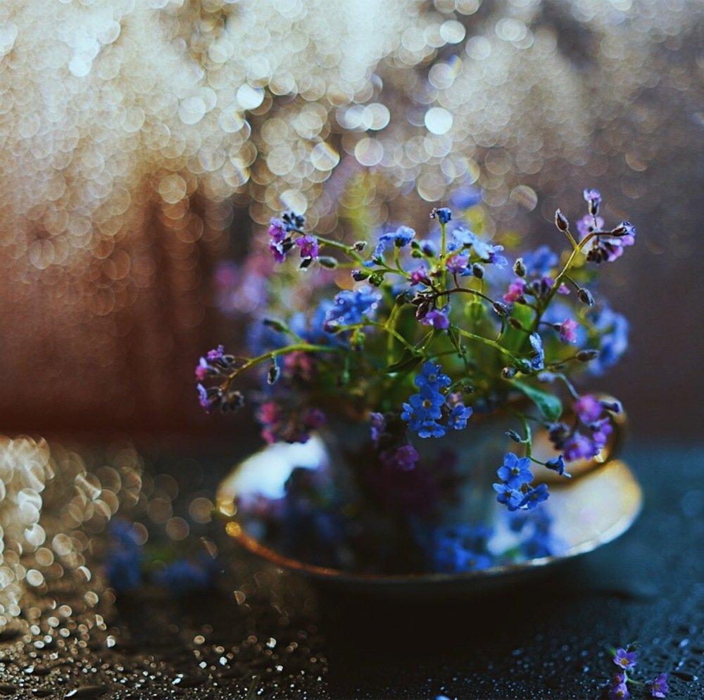 Photograph by Казанцев Алексей