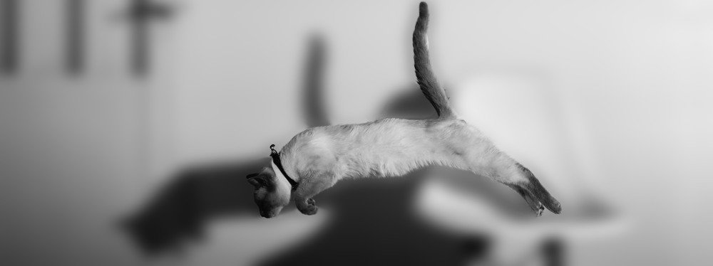 Photograph by Marcelo Campos