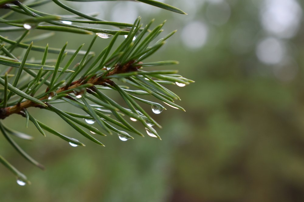 Фотография автора Наталья Сероглазова
