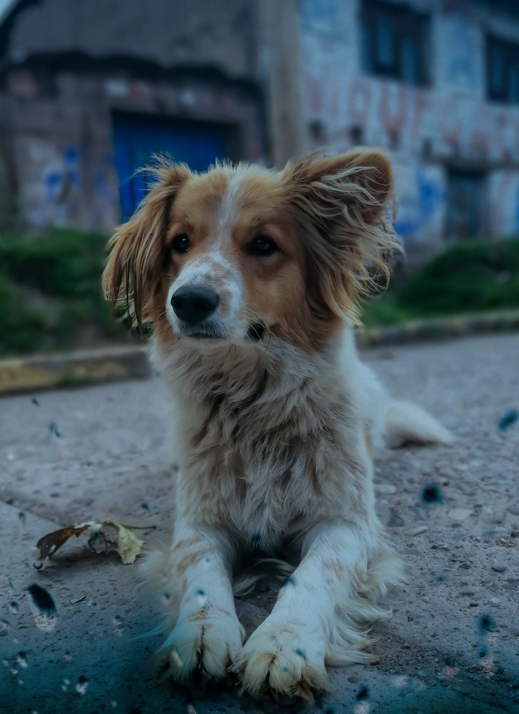 Lotería por las calles.