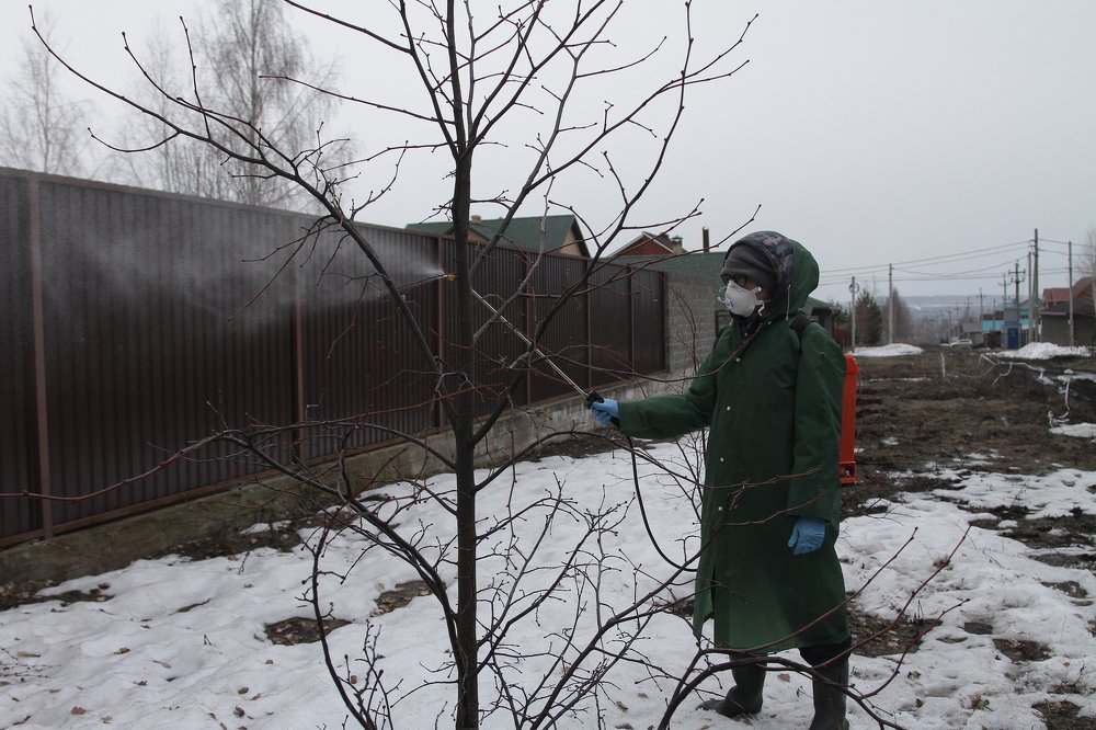 Photograph by Ксения Глубокова