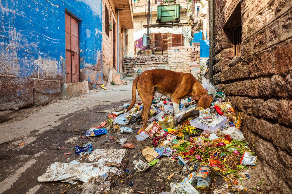 Photograph by Andrea Muscatello