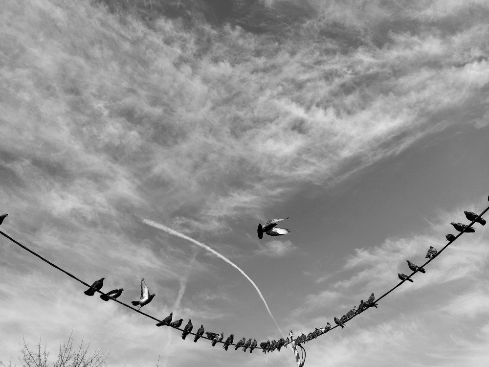 Photograph by Karina Yakovleva