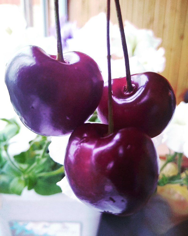 Фотография автора Елена Кобелева