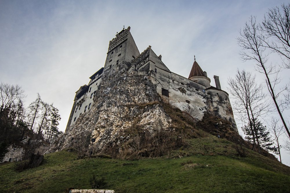 Фотография автора Marina Starovoyt