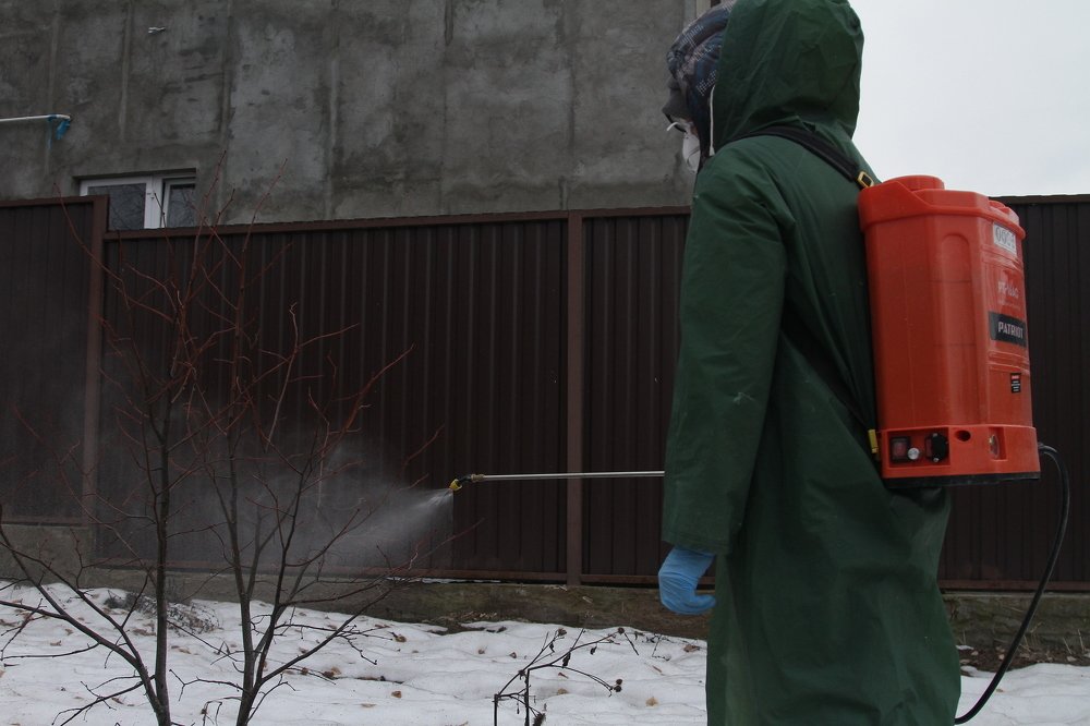 Photograph by Ксения Глубокова