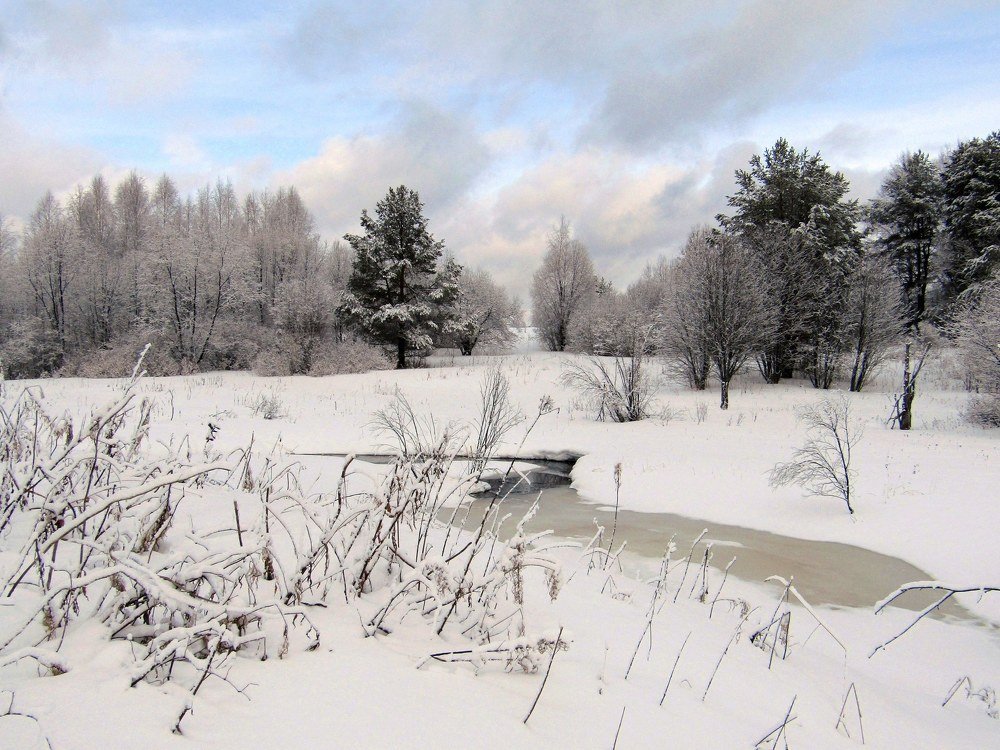 Весенний пейзаж