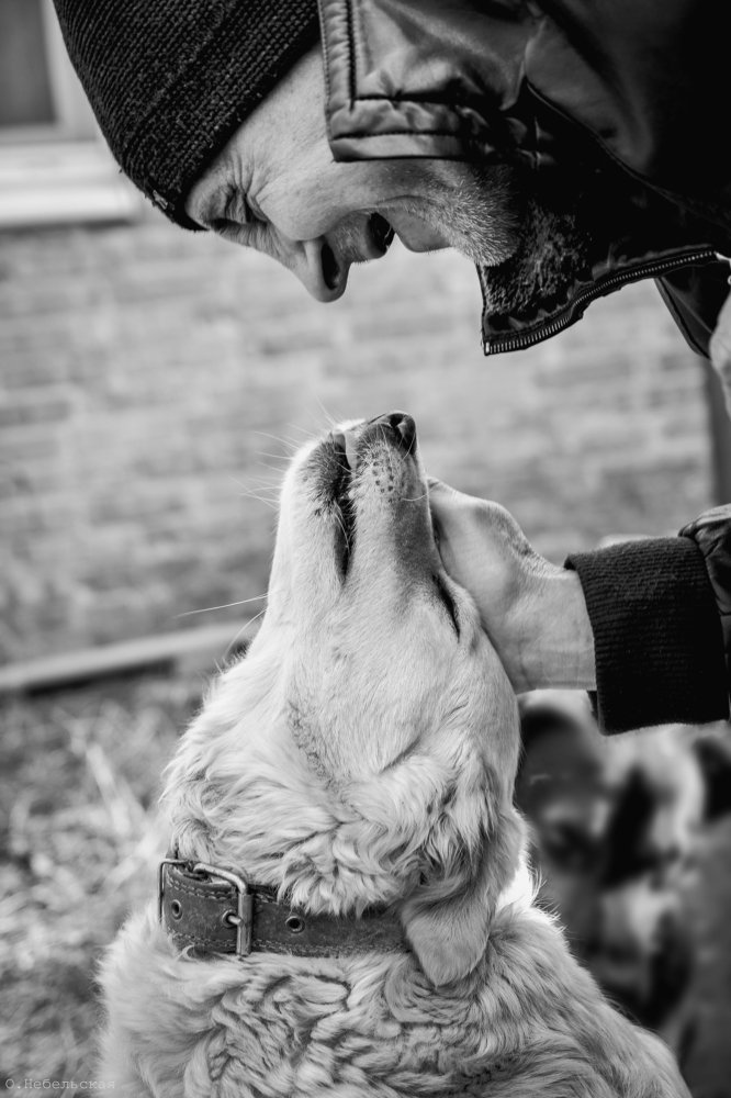 Photograph by Olga Nebelskaya