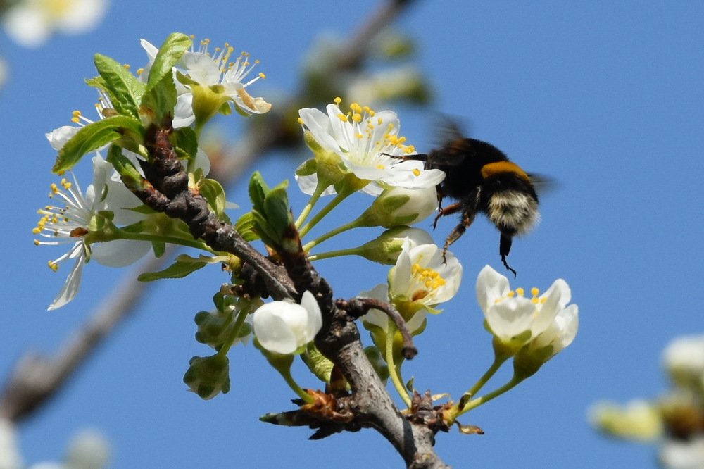 Photograph by Mesaros Cila