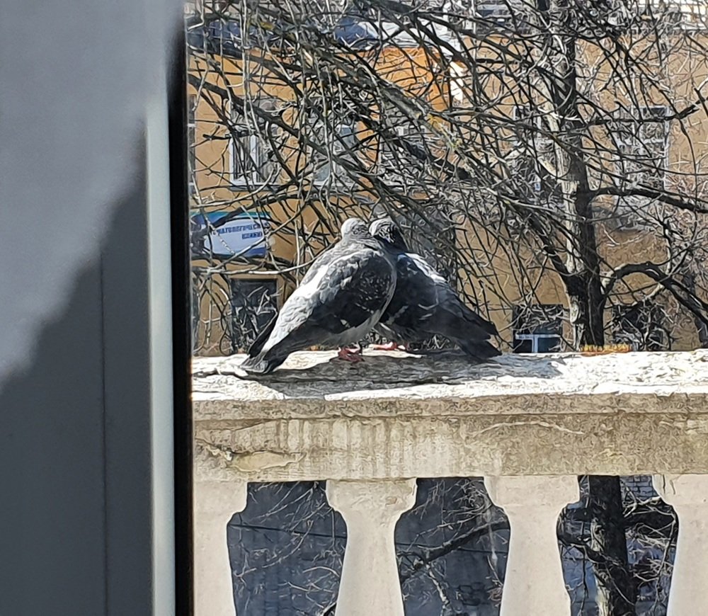 Красивая пара