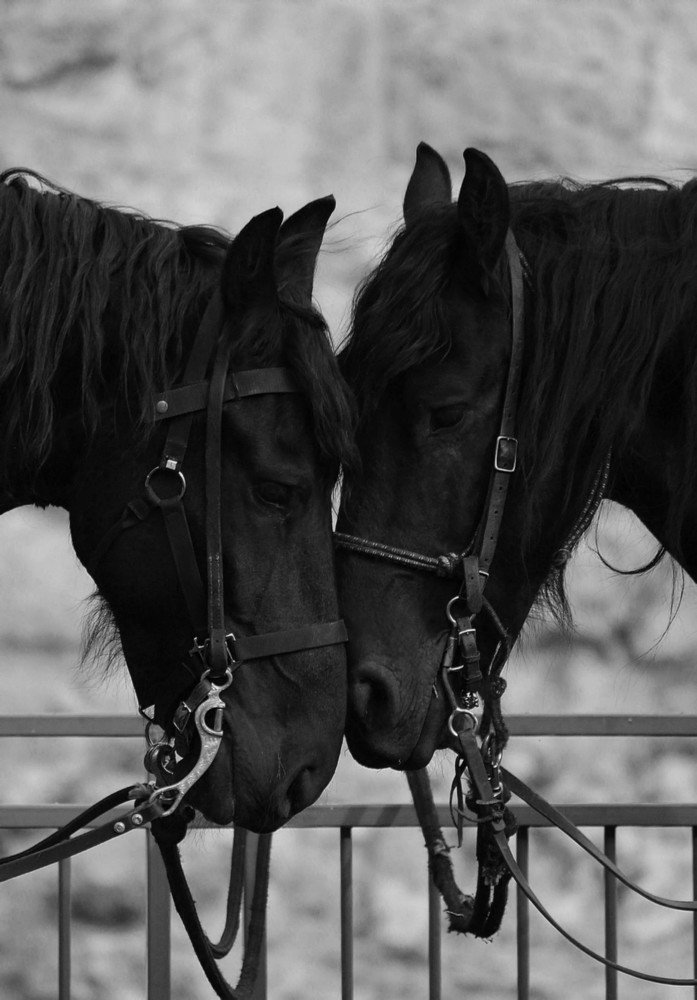 Photograph by Банген Лиля