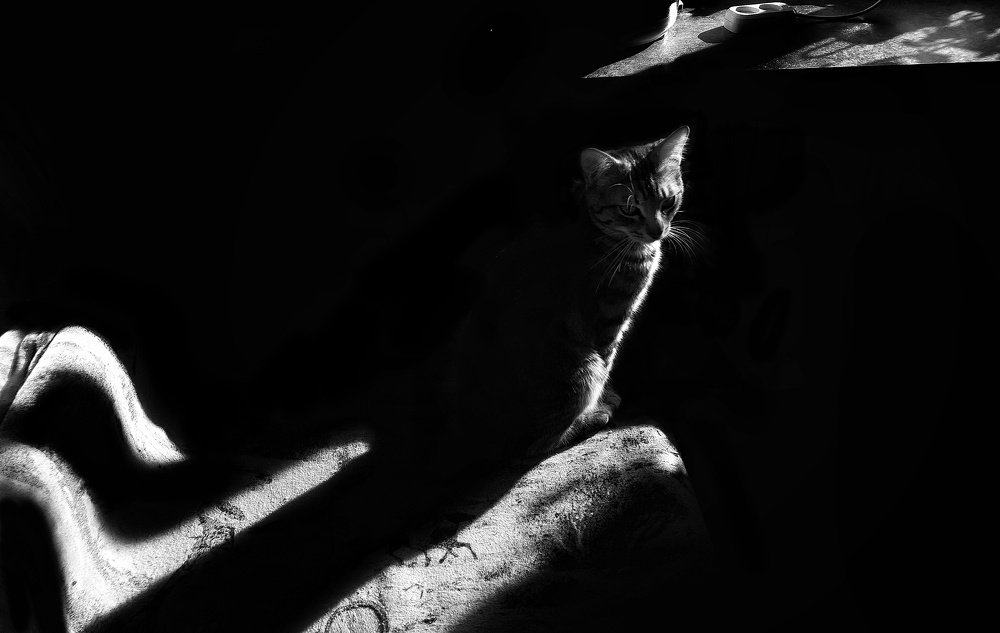 Photograph by Наталья Ерёменко