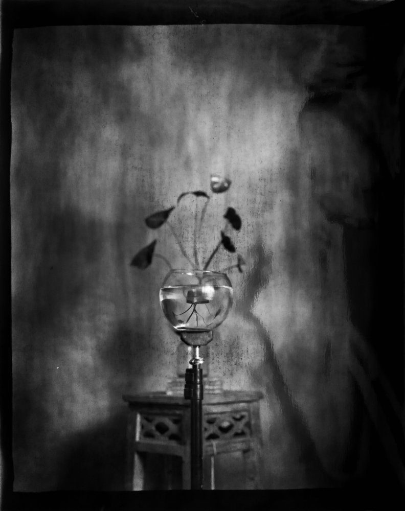 Photograph by Jesus Tenorio S