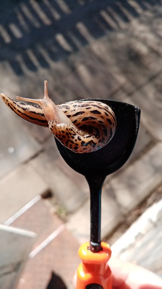 Photograph by Veronica Kravchonok