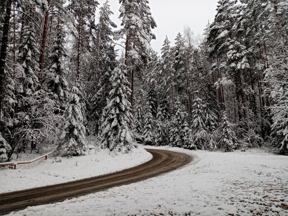 Photograph by Veronica Kravchonok