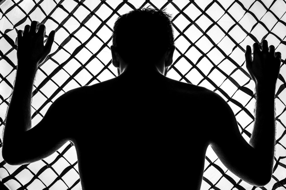 Photograph by Mehran Hadadzade