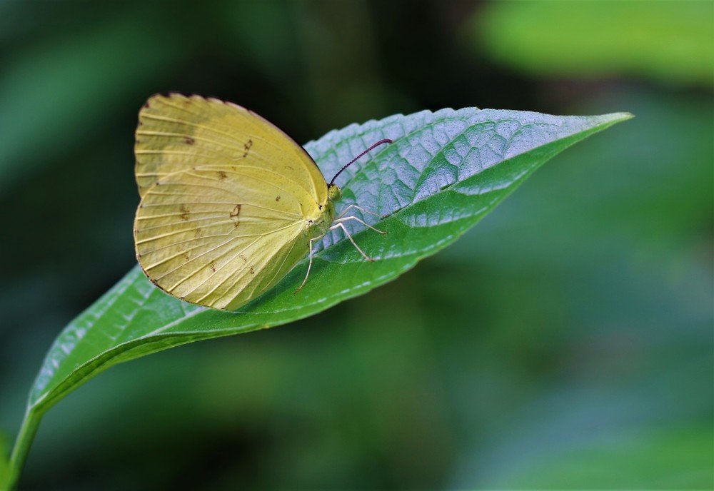 Photograph by Lesly Grace Advincula