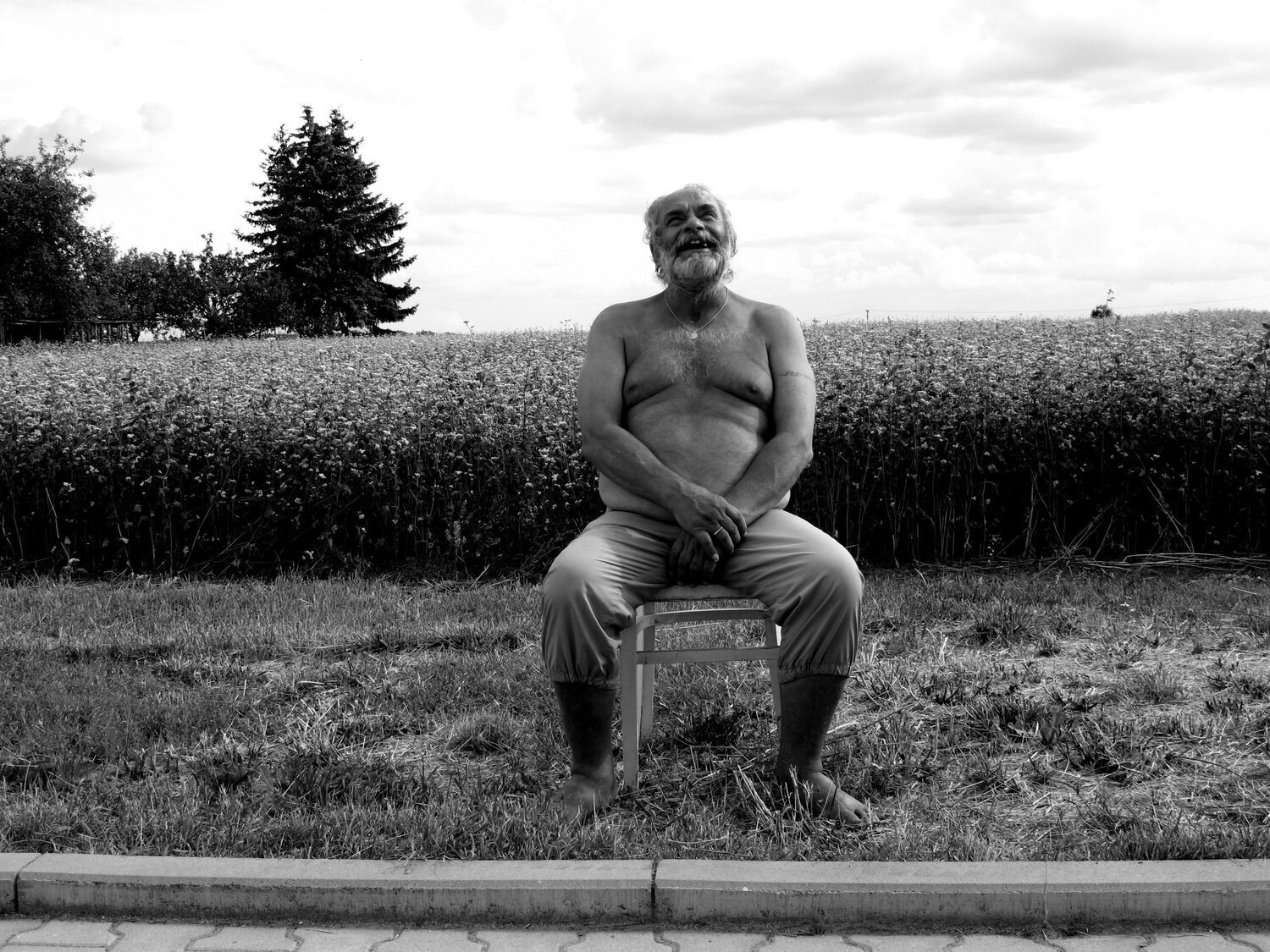 Photo #4516027
