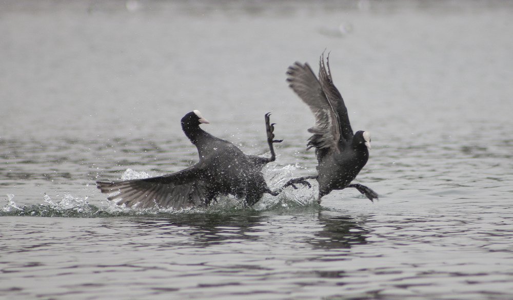 Photograph by Алексей Захаренко