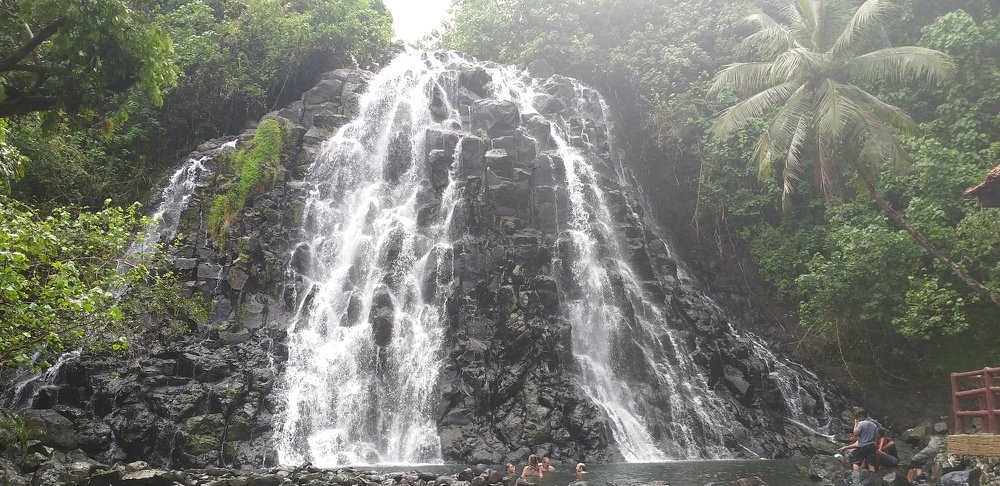 Photo #4516094