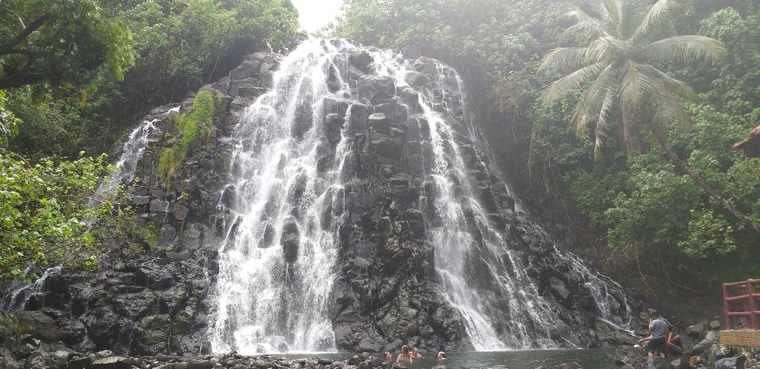 Photo #4516094