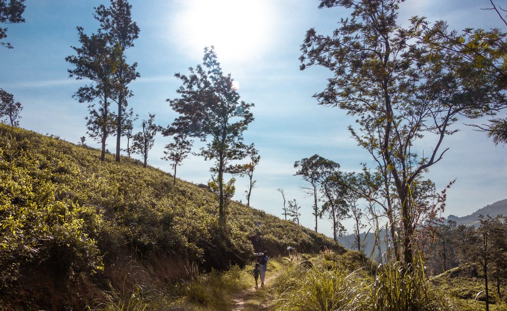 Where the sky touches ground.