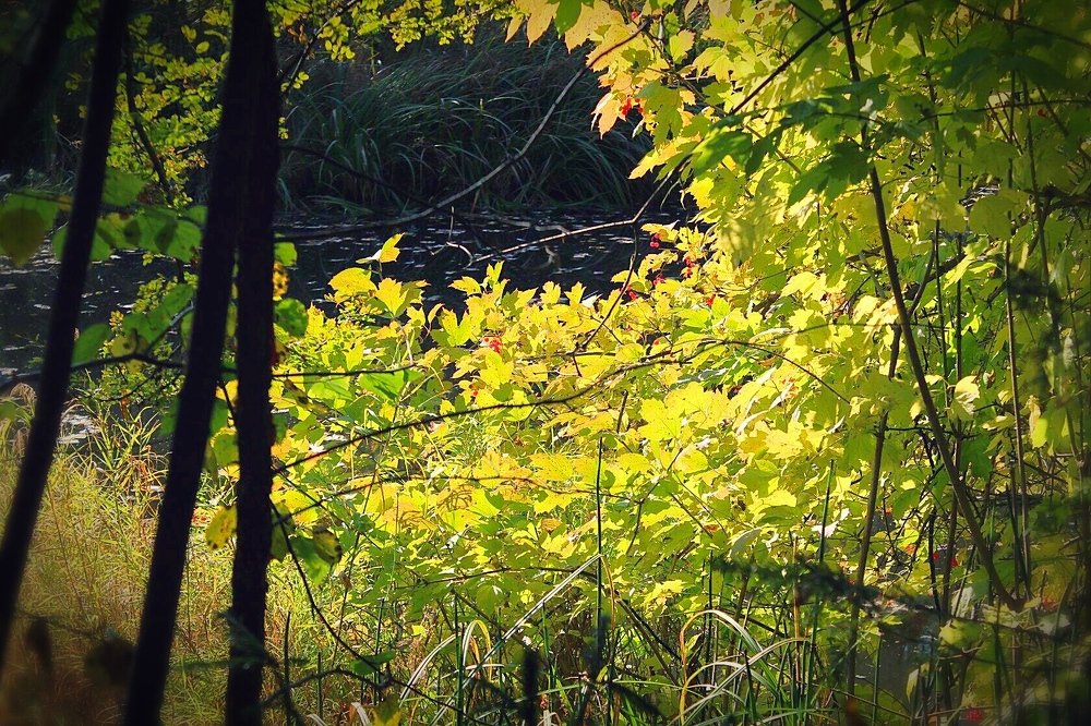 Photograph by Дмитрий