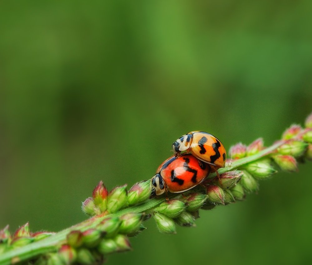 Photograph by Hardeep Solanki