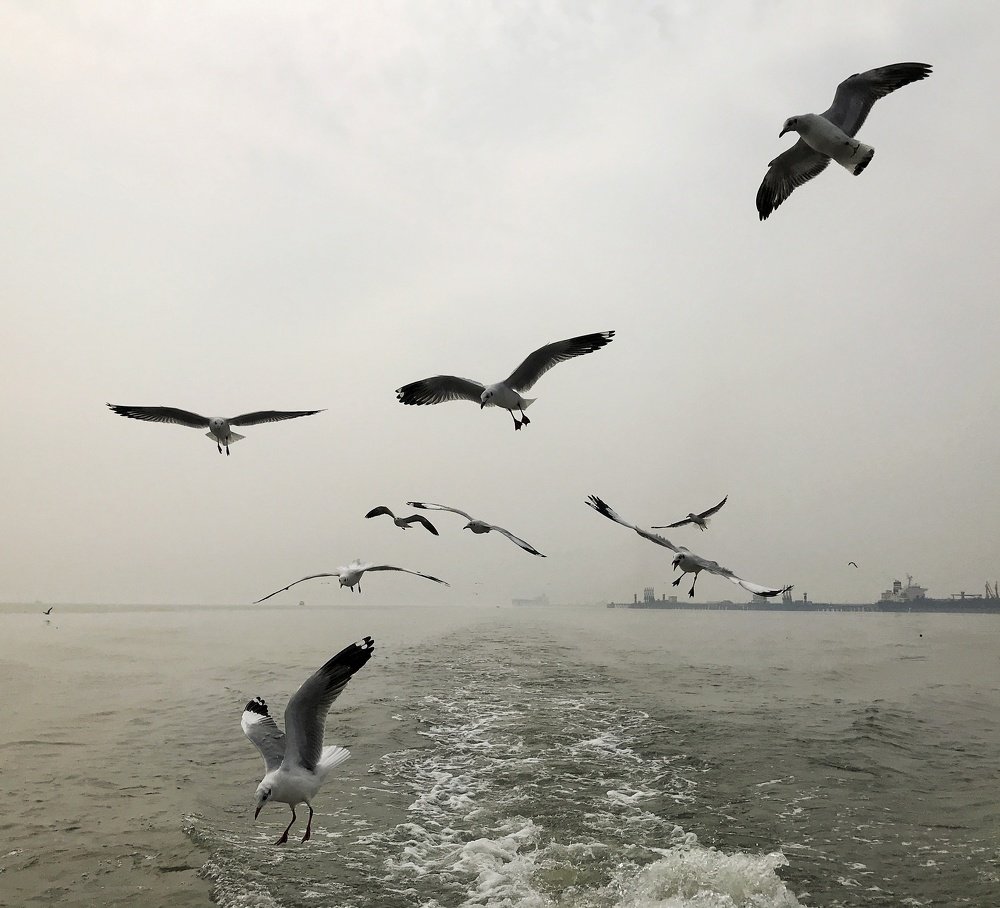 Photograph by Kapilesh Gujarathi
