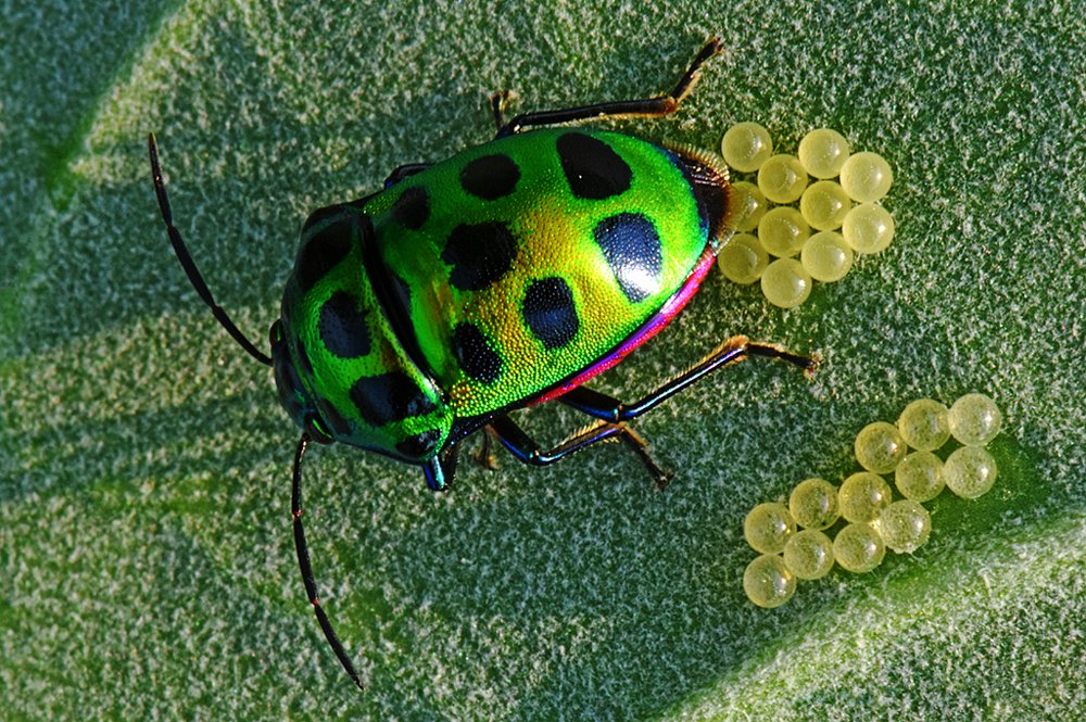 Photograph by CHINMOY BISWAS