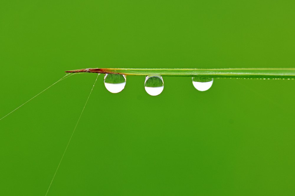 Photograph by CHINMOY BISWAS