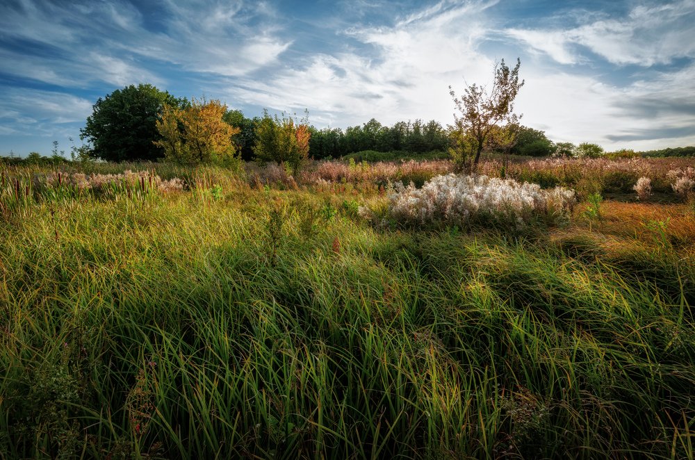 Photograph by Геннадий Гудиниц