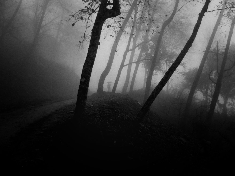 Photograph by Prajwal