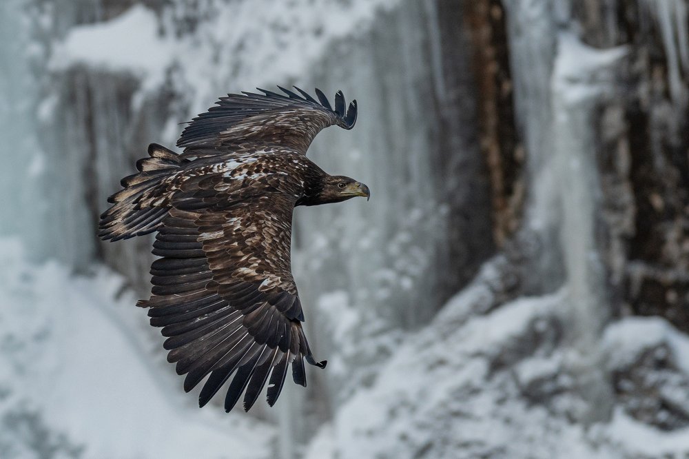 Photograph by Aleksey Sharypin