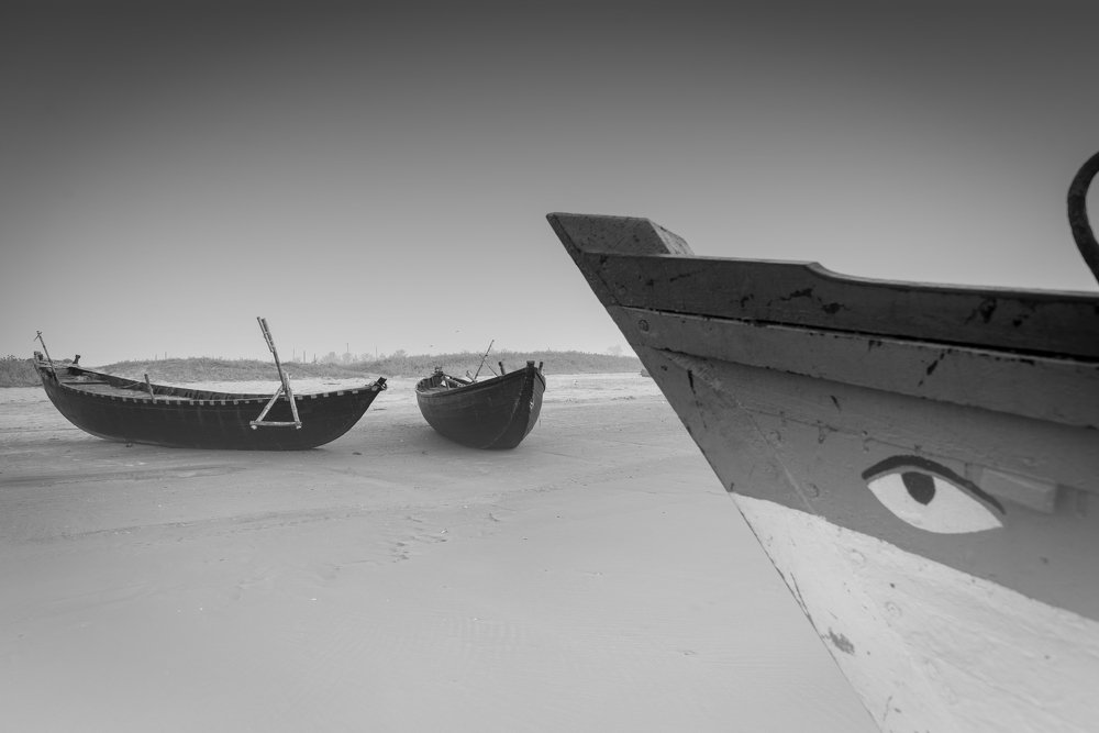 Photograph by Ranajit Chatterhee