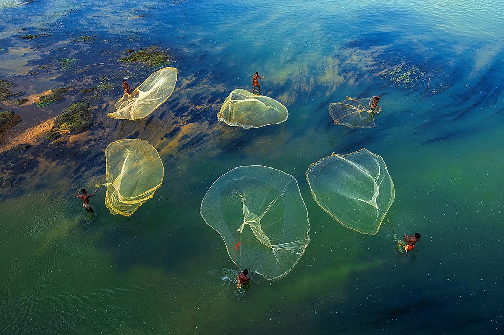 Photograph by Shibasish Saha