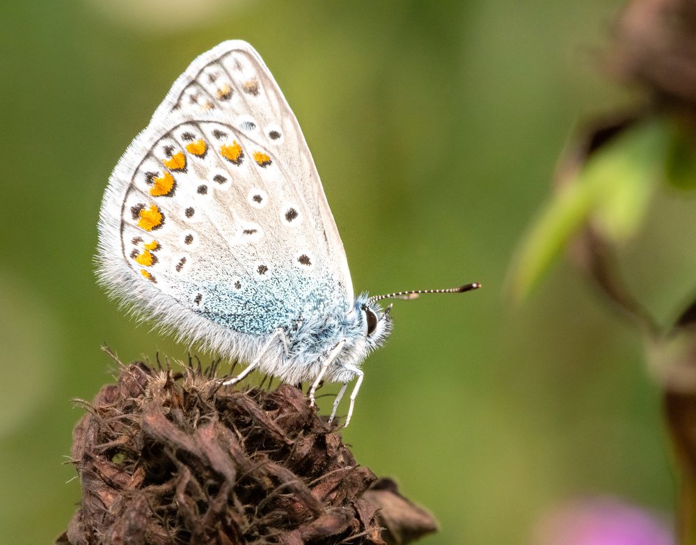 Photograph by  Mykhailo