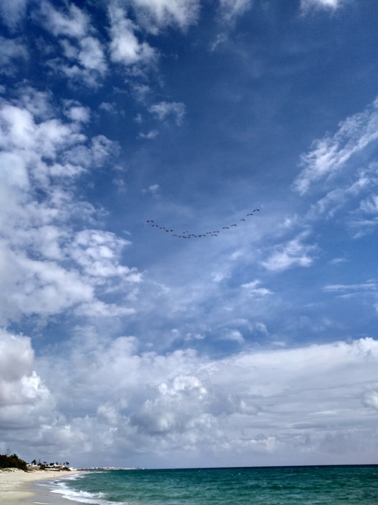 Фотография автора Елена Кобелева