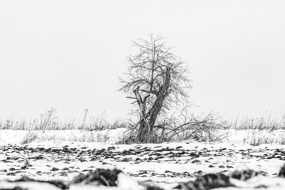 Photograph by Pavel Gusev