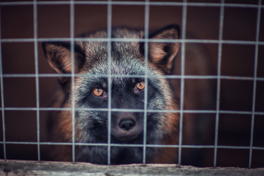 Photograph by Татьяна Муравкина