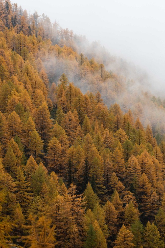 Photograph by Claudia Rolando