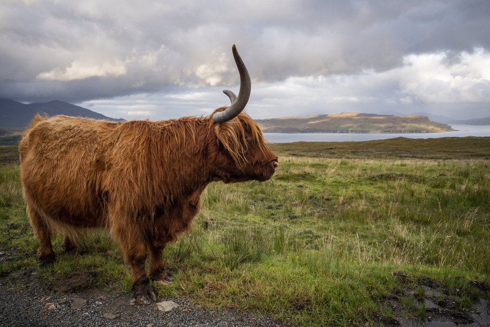 Photograph by Claudia Rolando