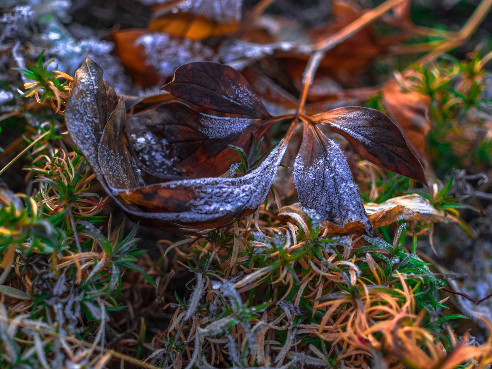 Фотография автора Игорь Игоревич